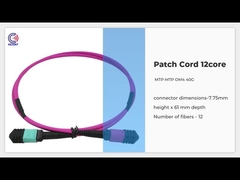 Koord 5M OM4 24 Kern Magenta 0.3dB type Met beperkte verliezen B van het vezel Optisch 24 MTP MPO Flard